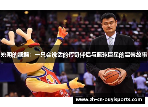 姚明的鹦鹉：一只会说话的传奇伴侣与篮球巨星的温馨故事